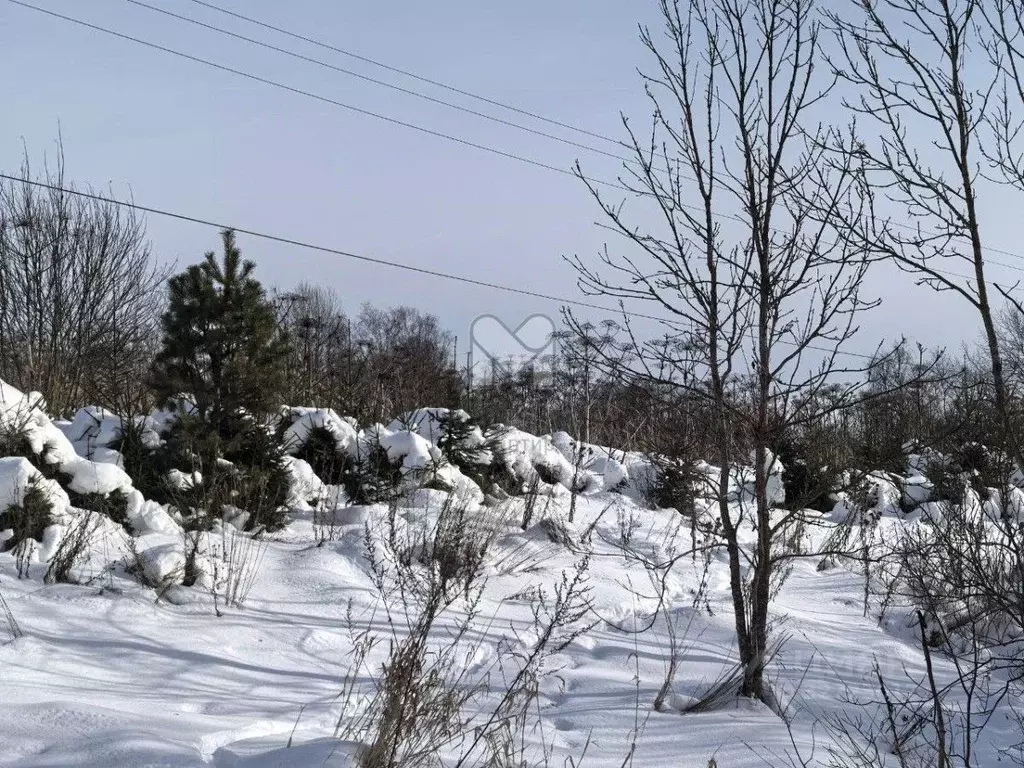 Участок в Ленинградская область, Лужский район, пос. Серебрянский ул. ... - Фото 1