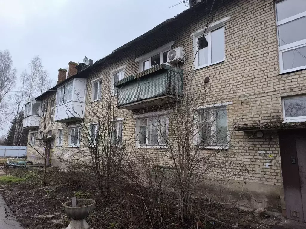 1-к кв. Московская область, Орехово-Зуевский городской округ, д. Новое ... - Фото 0