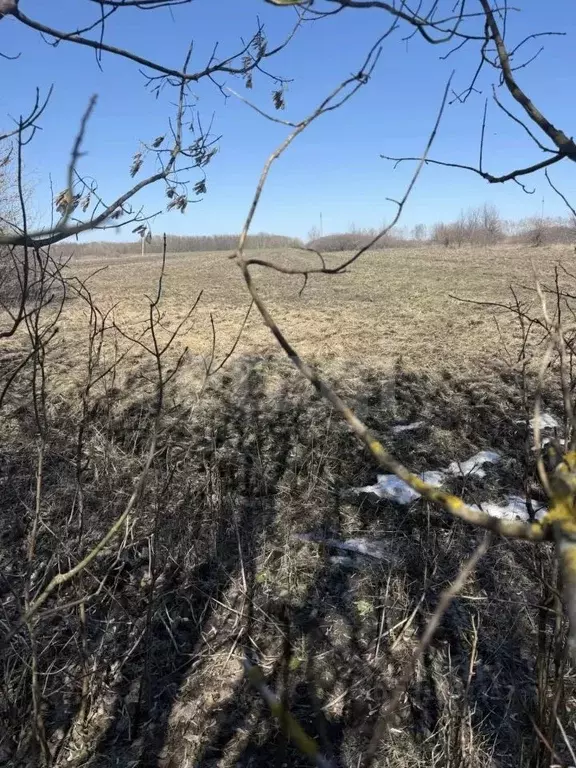 Дом в Белгородская область, Новооскольский муниципальный округ, ... - Фото 1