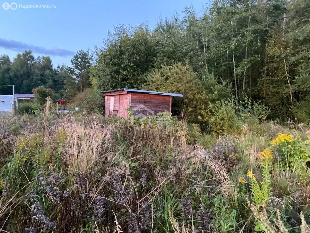 Участок в Кировский район, Отрадненское городское поселение, СНТ ... - Фото 1