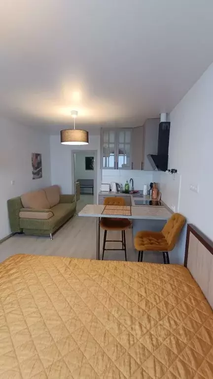 Студия Московская область, Лыткарино 6-й мкр, 15Б (34.0 м) - Фото 1