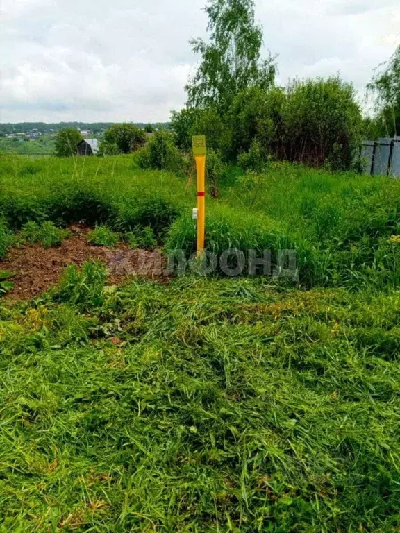 Участок в Новосибирская область, Мошковский район, с. Барлак Дачная ... - Фото 1