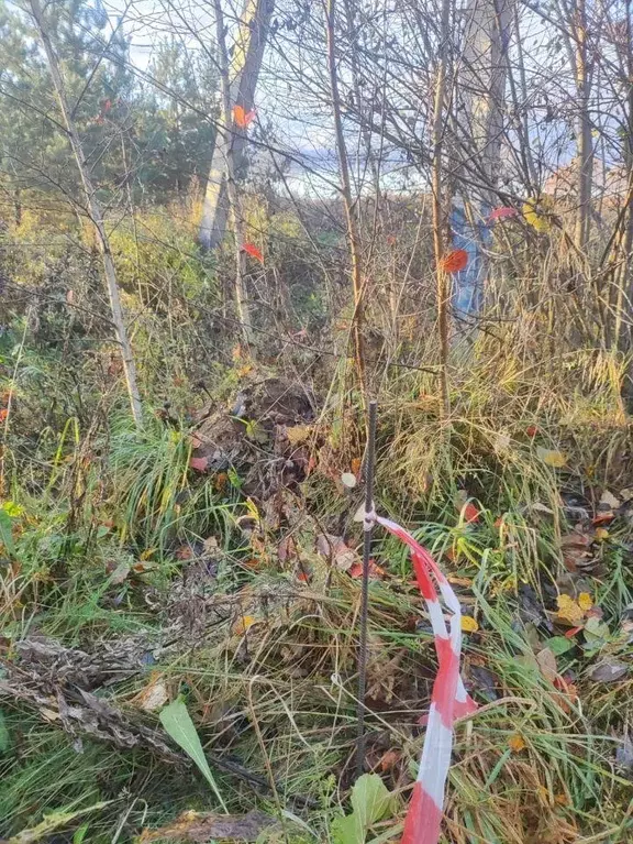 Участок, 22 сот., 0 - Фото 2