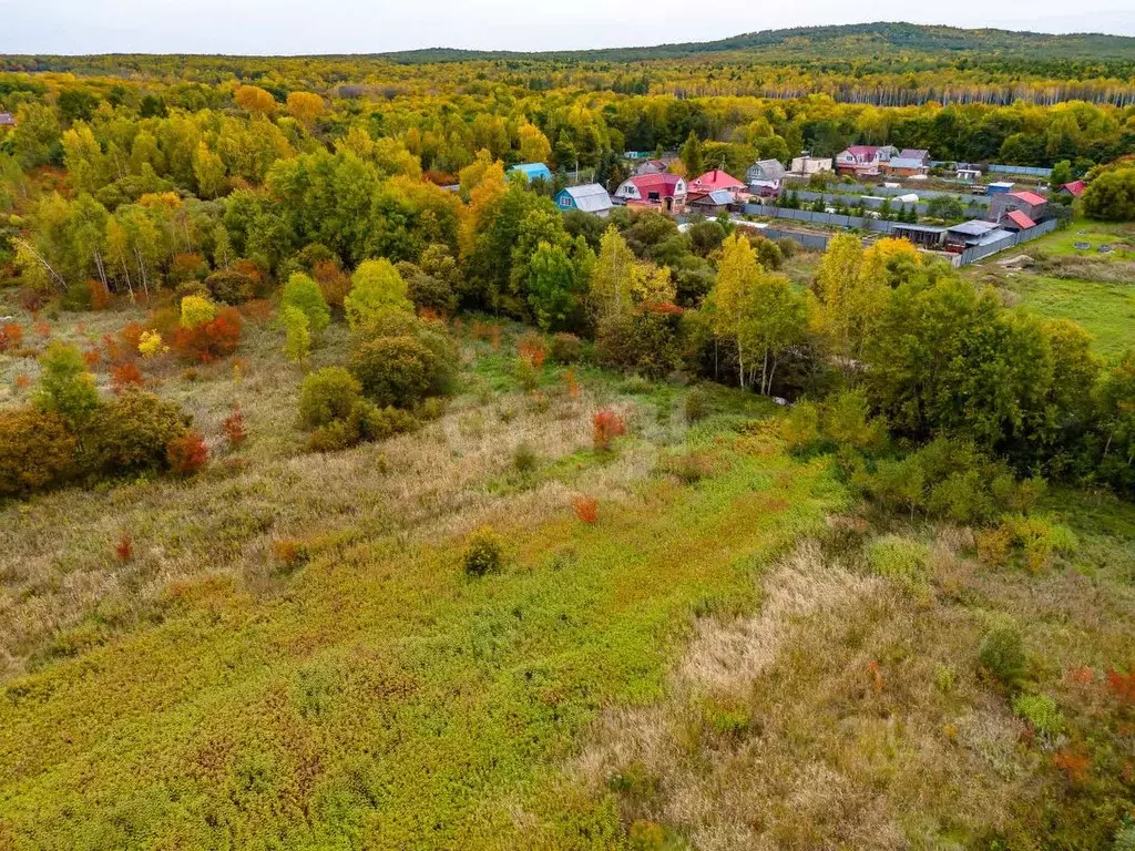 Участок в Хабаровский край, Хабаровский район, с. Лесное  (1010.0 ... - Фото 2