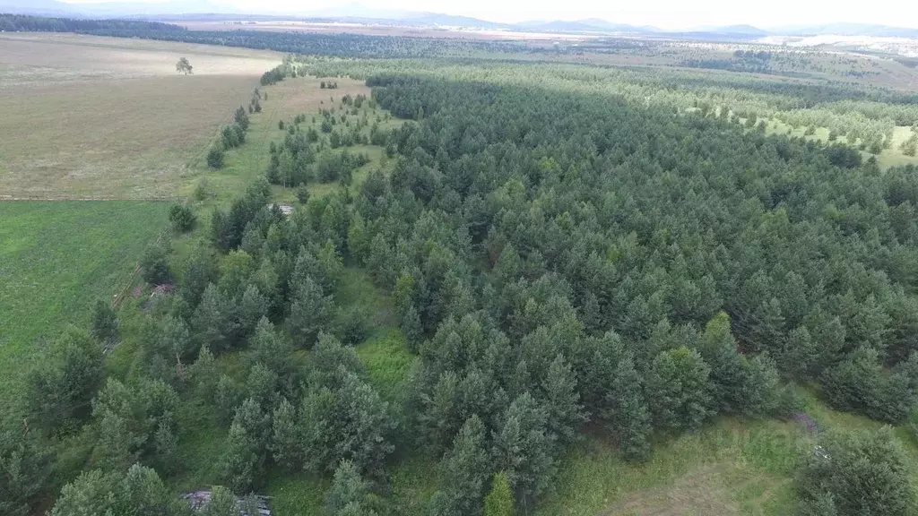 Участок в Башкортостан, Белорецкий район, с. Железнодорожный  (135.0 ... - Фото 0