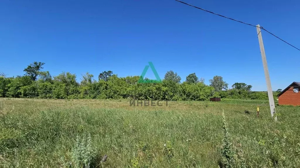 Участок в Башкортостан, Чишминский район, Алкинский сельсовет, ... - Фото 1