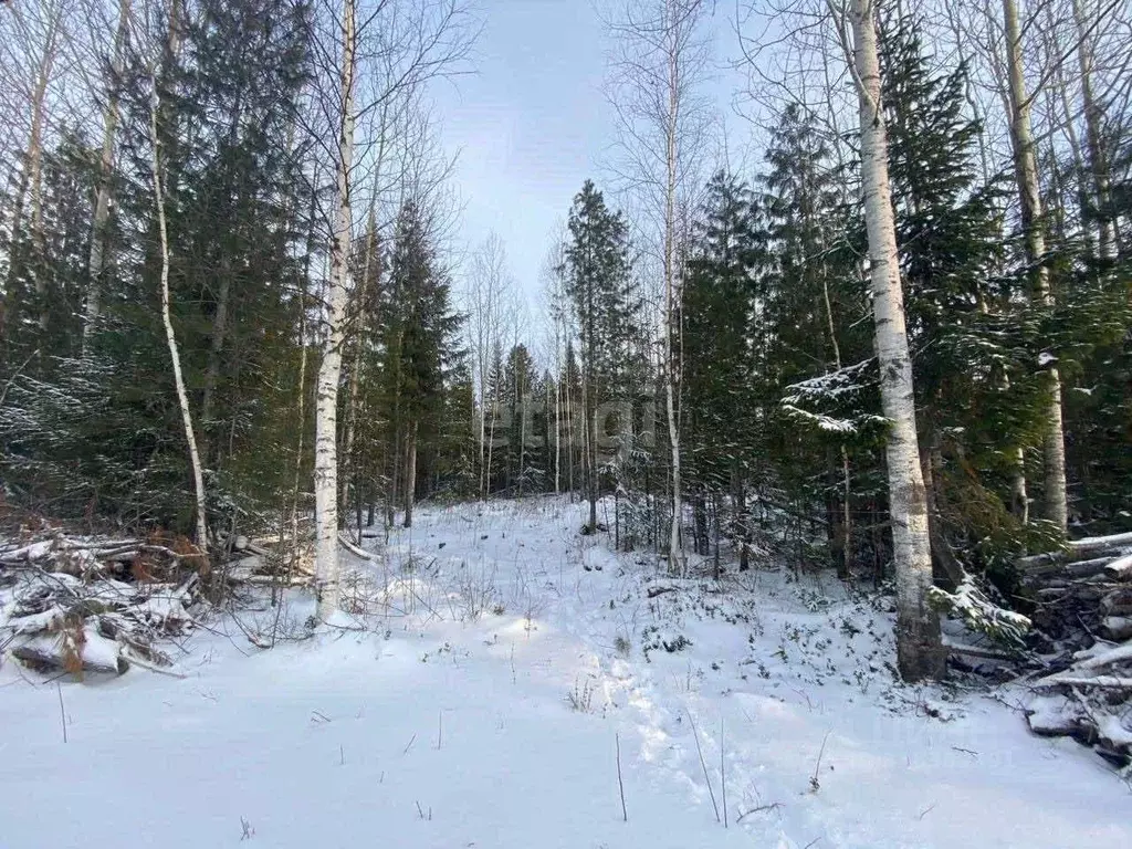 Участок в Ханты-Мансийский АО, Ханты-Мансийск Мир СОНТ,  (8.4 сот.) - Фото 1