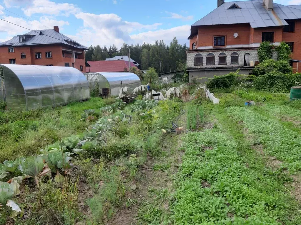 Циан Владимирская Область Купить В Деревне