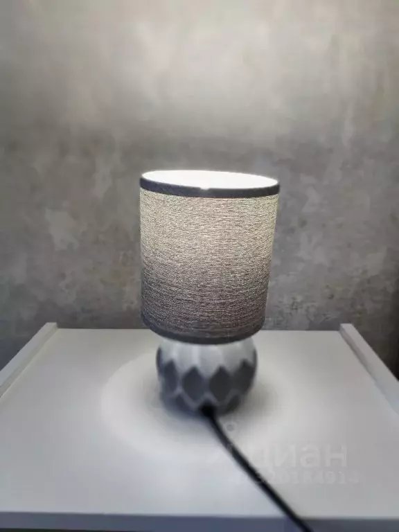 2-к кв. Нижегородская область, Заволжье г. Городецкий муниципальный ... - Фото 2