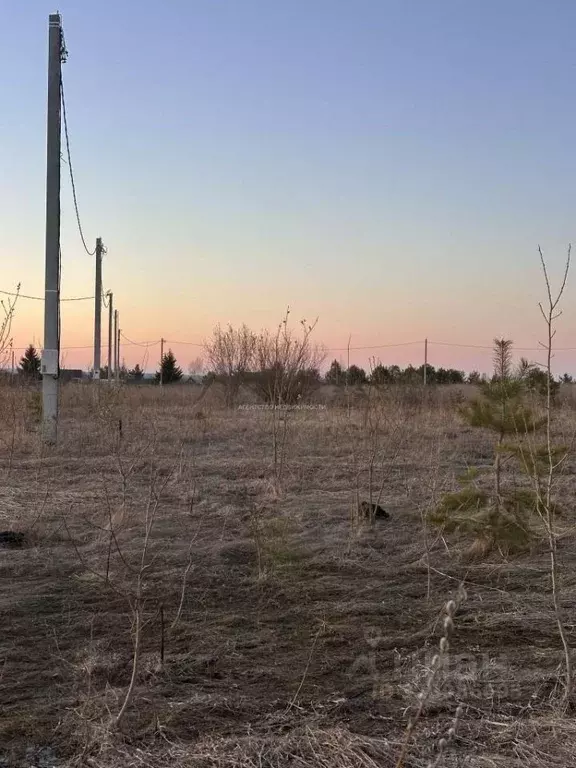 Участок в Татарстан, Тукаевский район, Малошильнинское с/пос, с. ... - Фото 2