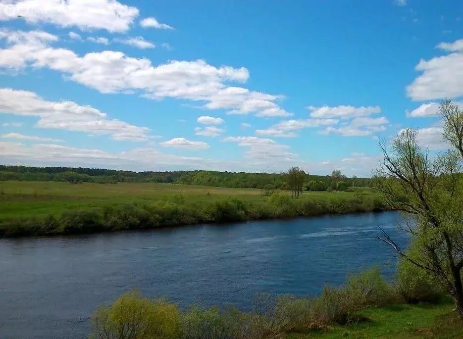 Участок в село Залучье, улица Ковшовой, 24 (119 м) - Фото 2