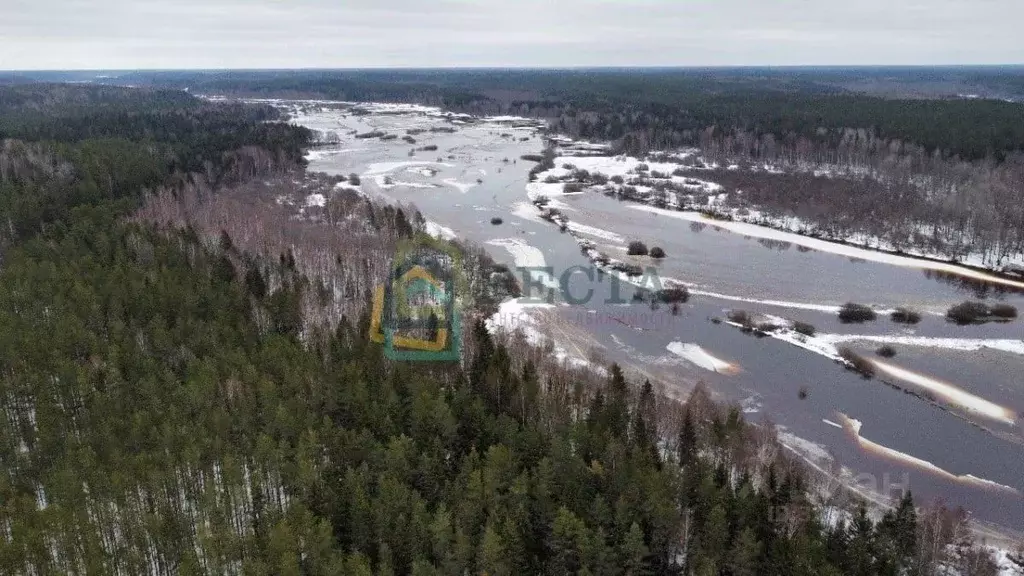 Участок в Ленинградская область, Лужский район, Толмачевское городское ... - Фото 1