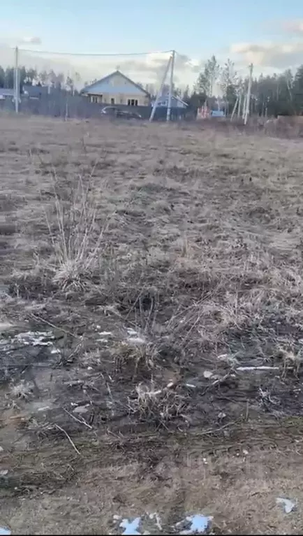 Участок в Московская область, Лосино-Петровский городской округ, д. ... - Фото 1