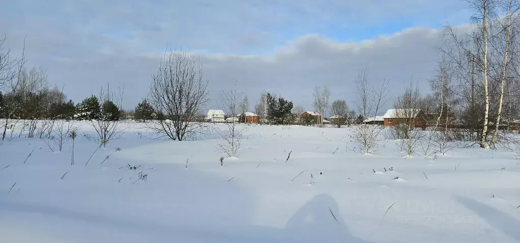 Участок в Московская область, Луховицы Молодежный-3 мкр,  (9.96 сот.) - Фото 1
