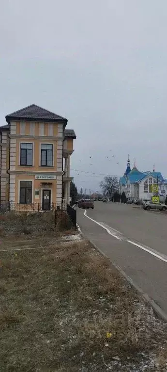Участок в Воронежская область, Новоусманский район, пос. Отрадное ул. ... - Фото 0