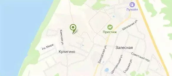 Участок в Пермский край, Добрянский городской округ, д. Залесная  (9.9 ... - Фото 1