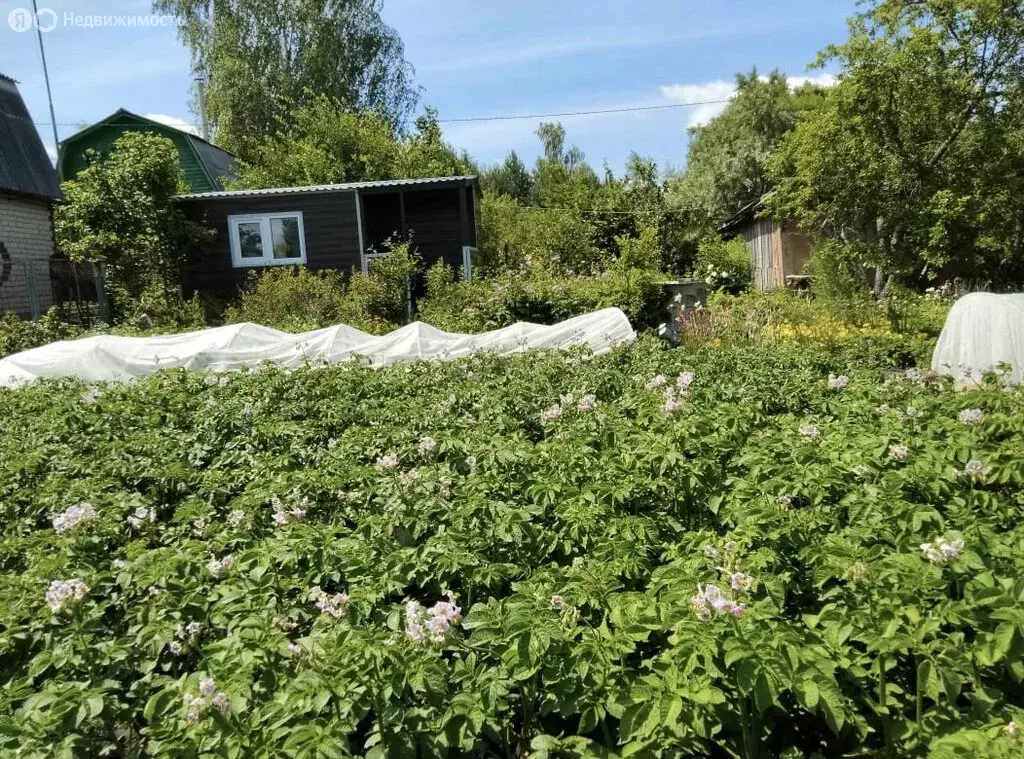 Дом в Орловский муниципальный округ, село Спасское (Спасское сельское ... - Фото 1