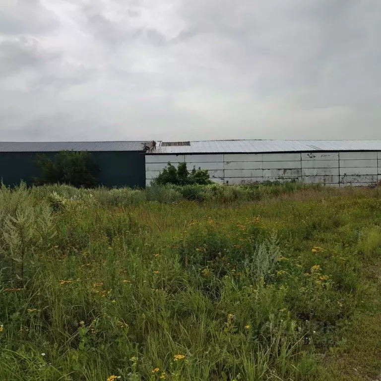 Участок в Московская область, Павлово-Посадский городской округ, д. ... - Фото 1