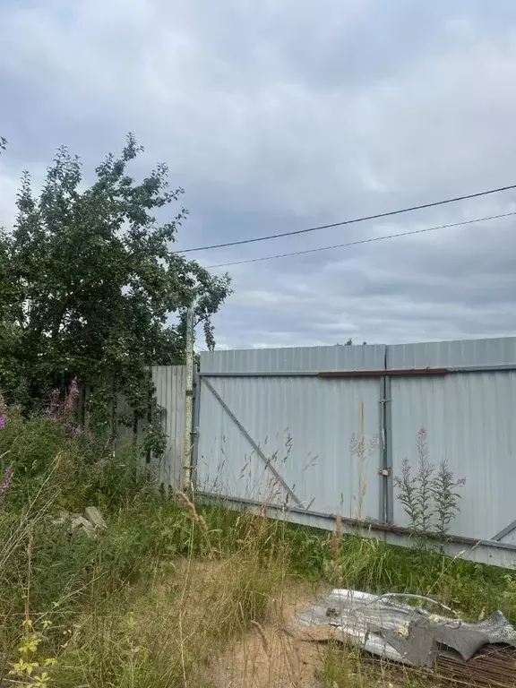 Участок в Ленинградская область, Гатчинский муниципальный округ, Учхоз ... - Фото 1