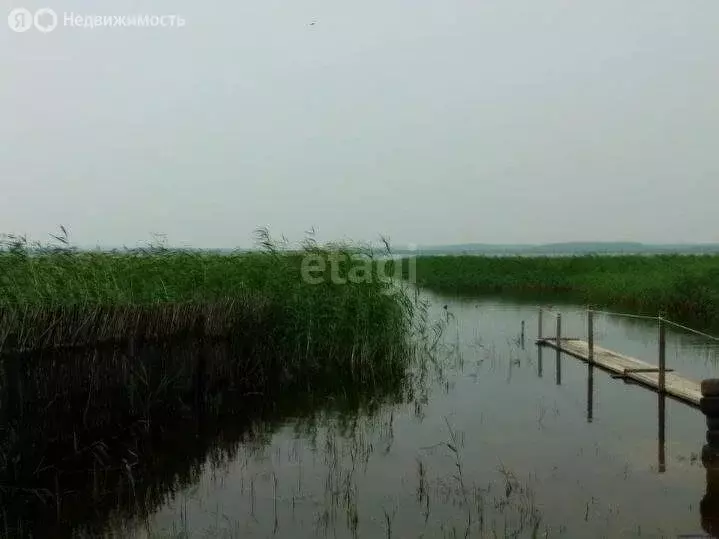 Участок в Курганская область, Кетовский муниципальный округ, деревня ... - Фото 1