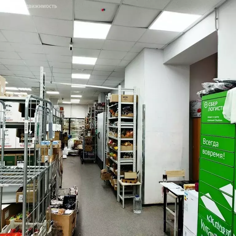 Торговая площадь (228 м) - Фото 2