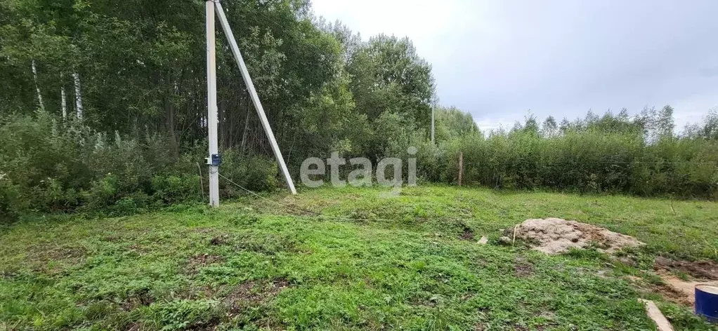 участок в костромская область, красносельский район, боровиковское . - Фото 0