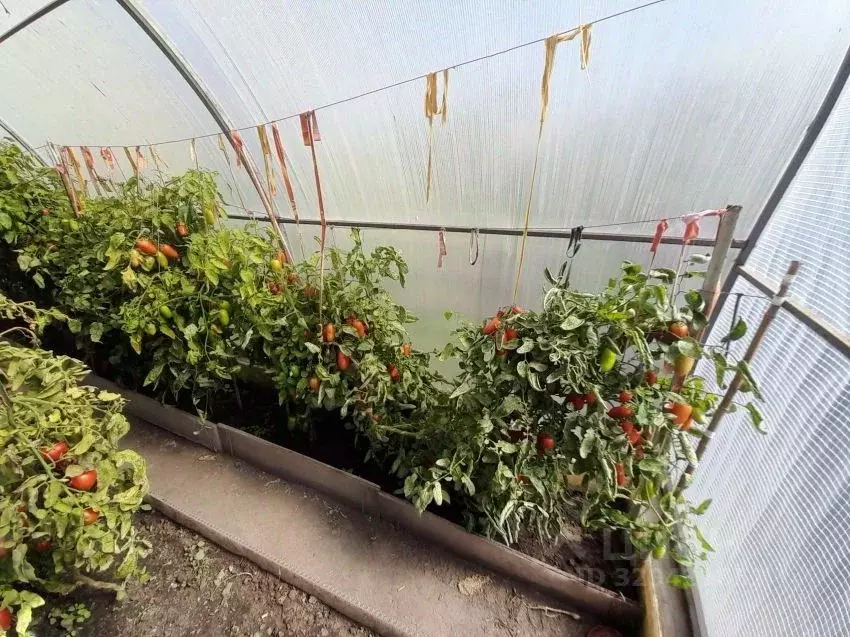 Дом в Курганская область, Курган Надежда СНТ,  (30 м) - Фото 1