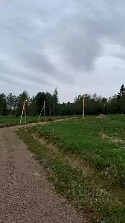 Участок в Ленинградская область, Тосненский район, Любанское городское ... - Фото 1