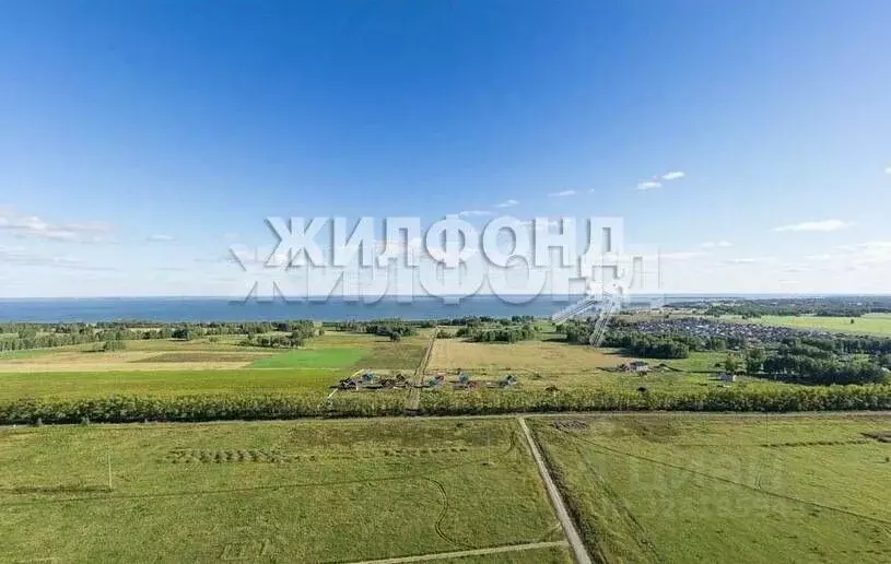 Участок в Новосибирская область, Новосибирский район, Морской ... - Фото 2