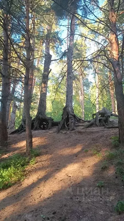 Коттедж в Рязанская область, Рязань ул. Владимирская (160 м) - Фото 1