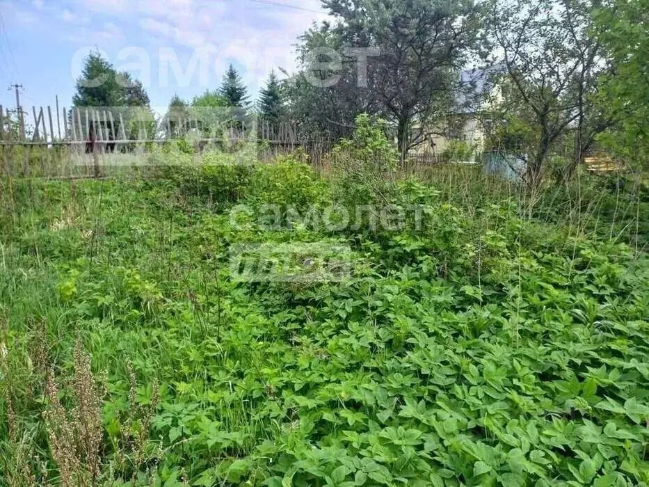 Участок в Вологодская область, д. Елгино  (8.0 сот.) - Фото 0