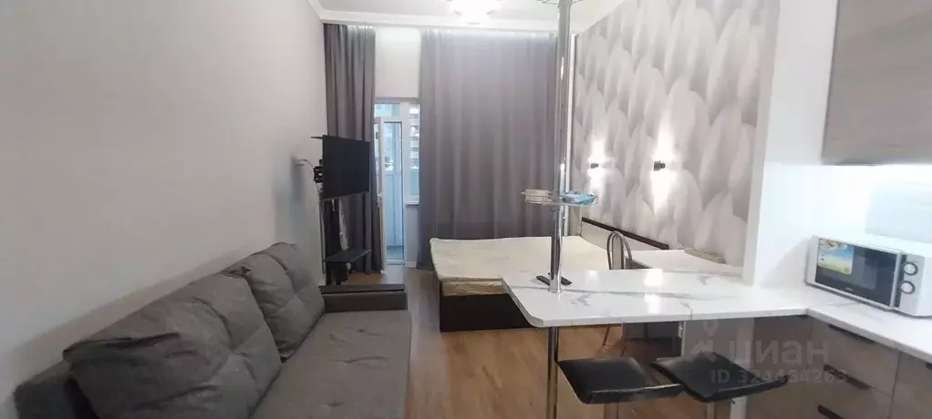 Студия Московская область, Старая Купавна Богородский городской округ, ... - Фото 1