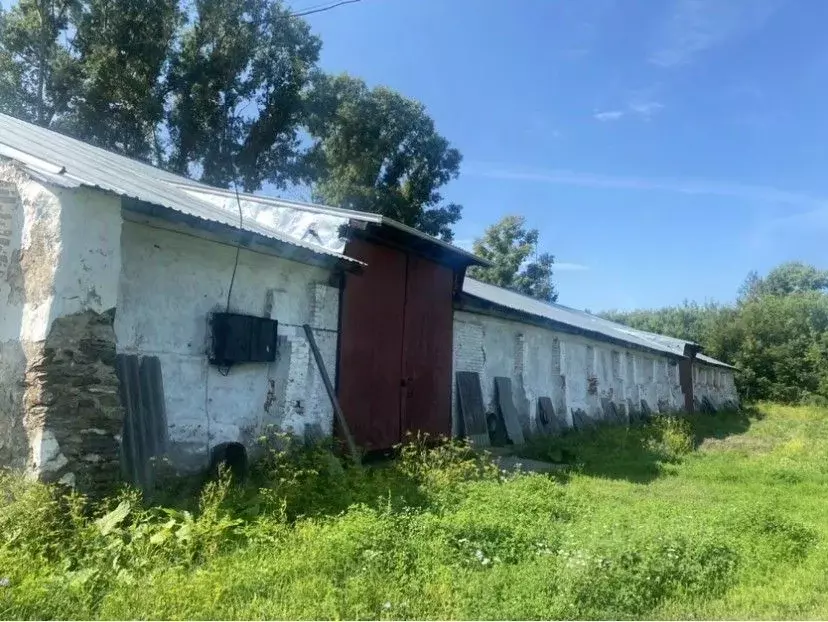 Склад в Алтайский край, Косихинский район, Баюново ст. Элеваторная ... - Фото 2
