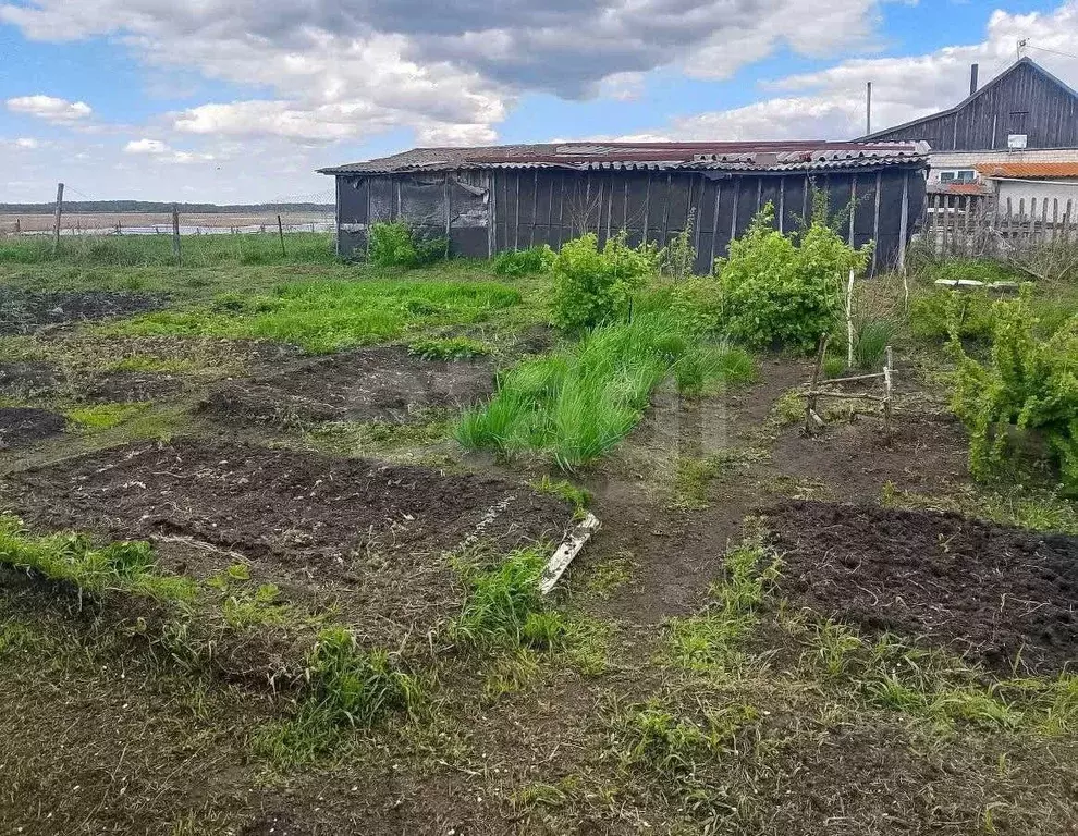Дом в Челябинская область, Красноармейский муниципальный округ, д. ... - Фото 1