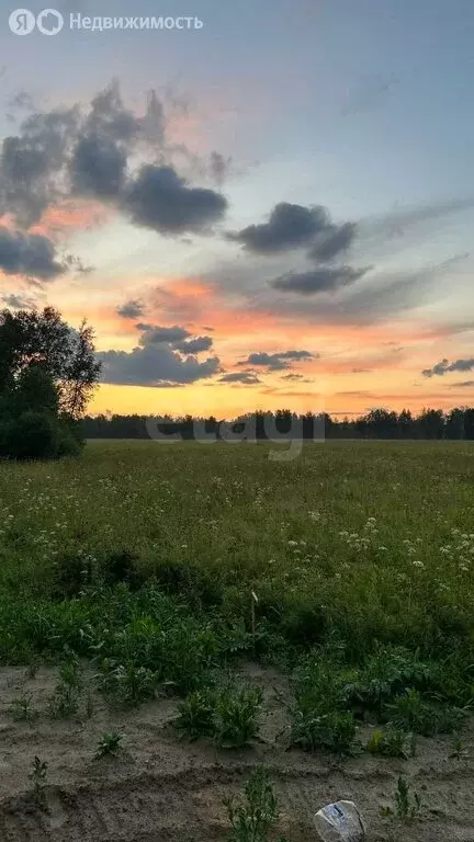 Участок в Тюменский район, ДНТ Дачи Хюгге, Лиловая улица (10 м) - Фото 0