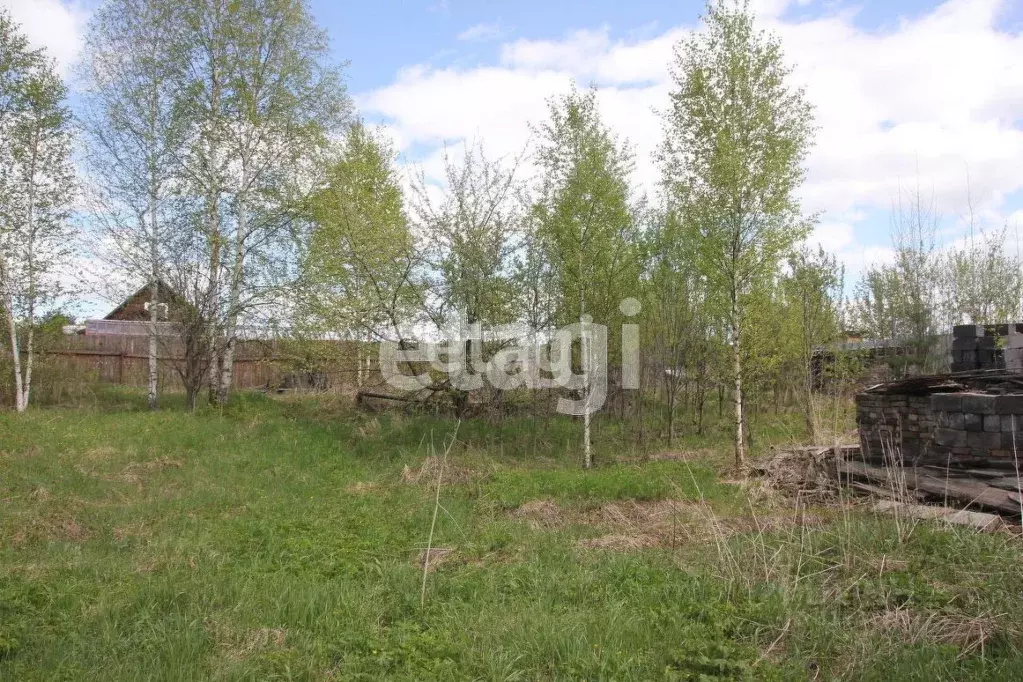 Участок в Свердловская область, Кушва ул. Декабристов (6.8 сот.) - Фото 1