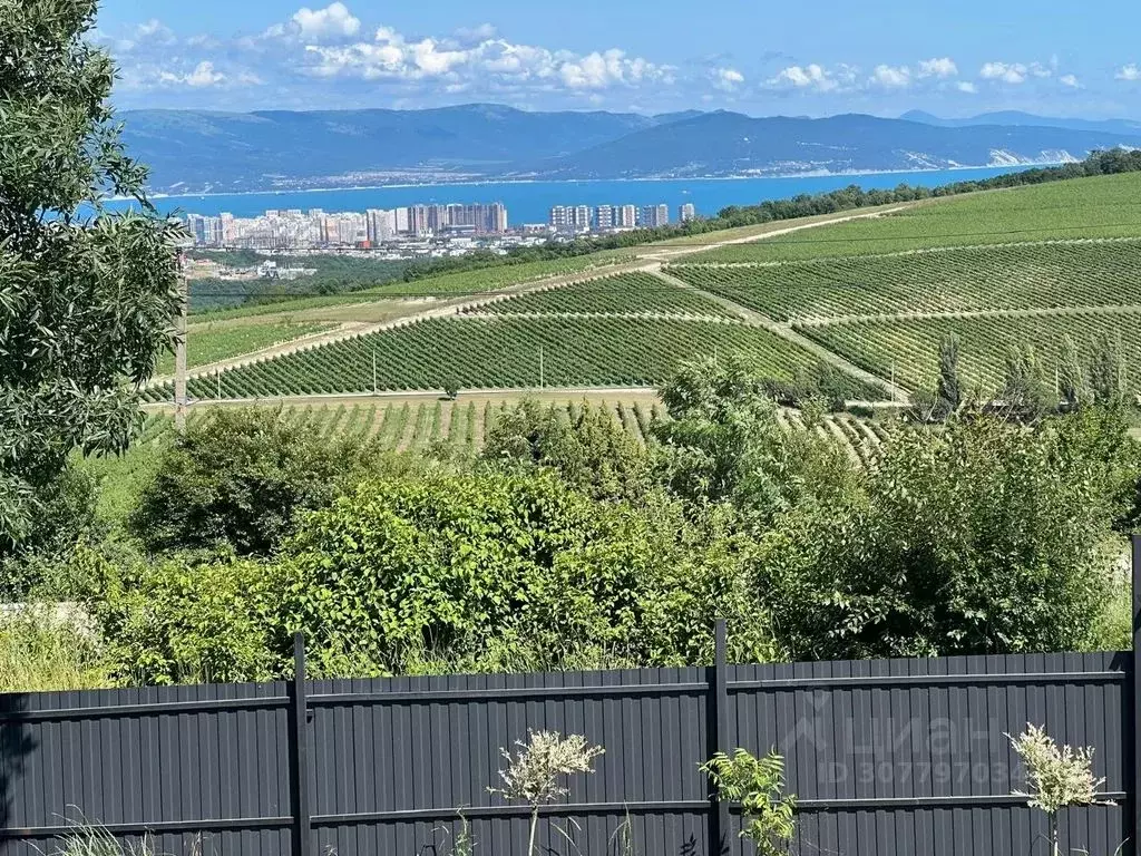 Дом в Краснодарский край, Новороссийск городской округ, с. Федотовка ... - Фото 2