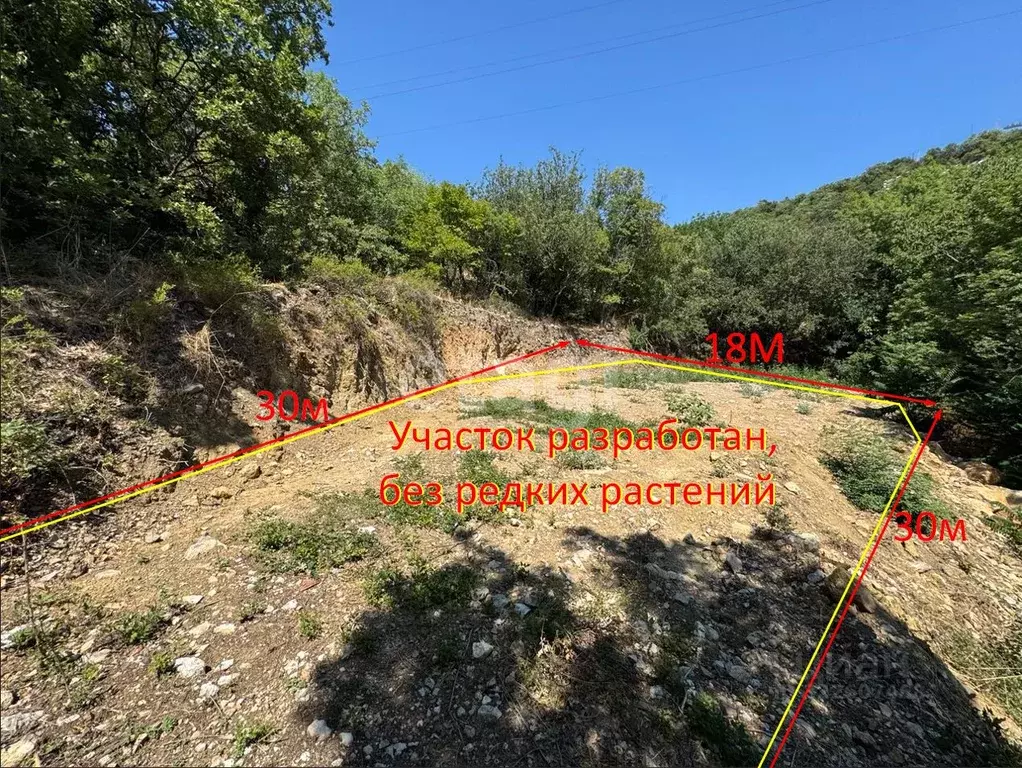 Участок в Крым, Ялта муниципальный округ, Голубой Залив пгт ул. ... - Фото 1