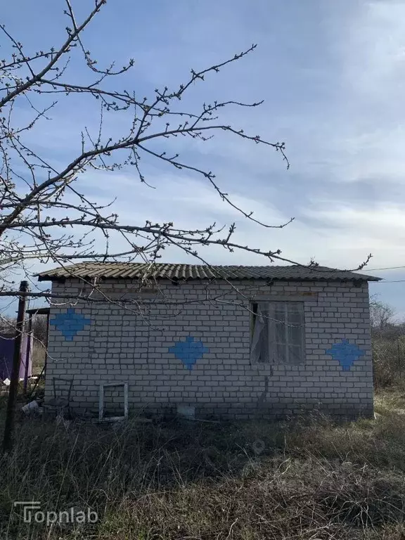 Дом в Волгоградская область, Дубовский район, Пичужинское с/пос, с. ... - Фото 1