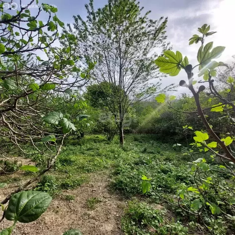 Участок в село Верхнениколаевское, Николаевская улица (6.5 м) - Фото 0