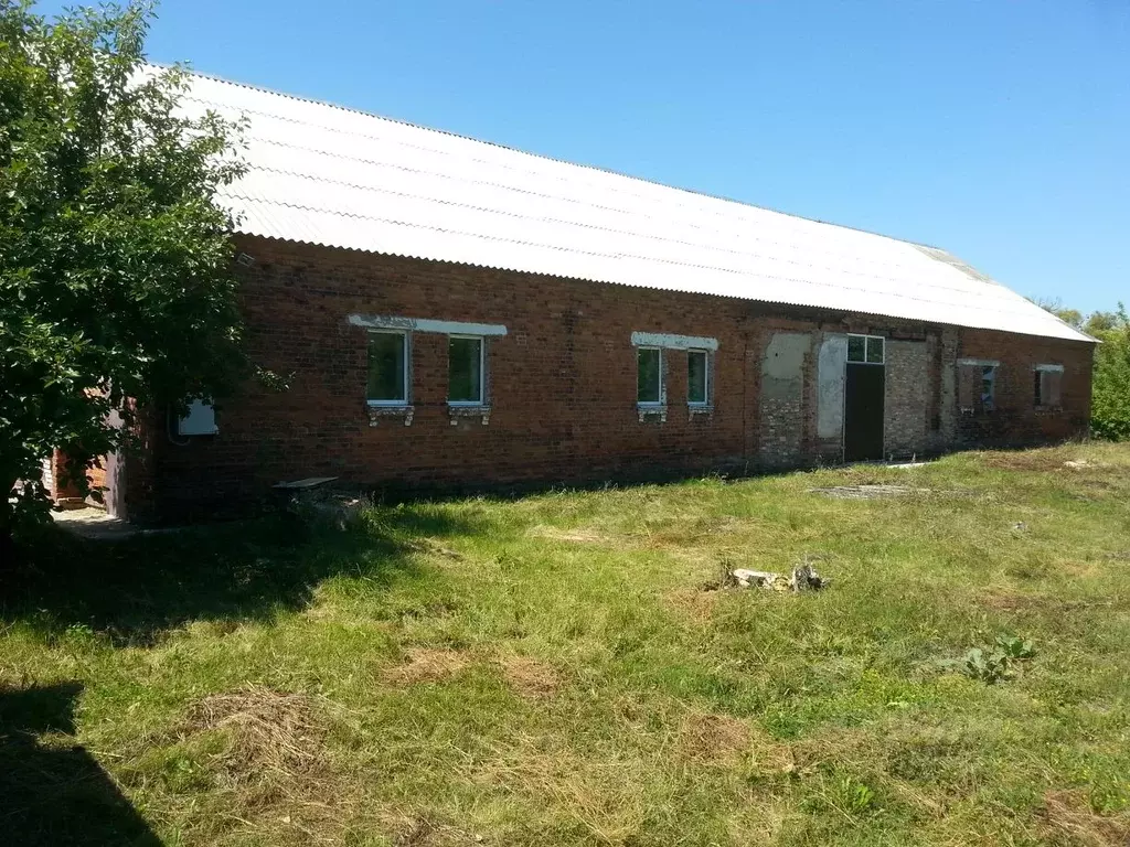 Помещение свободного назначения в Белгородская область, Борисовский ... - Фото 0