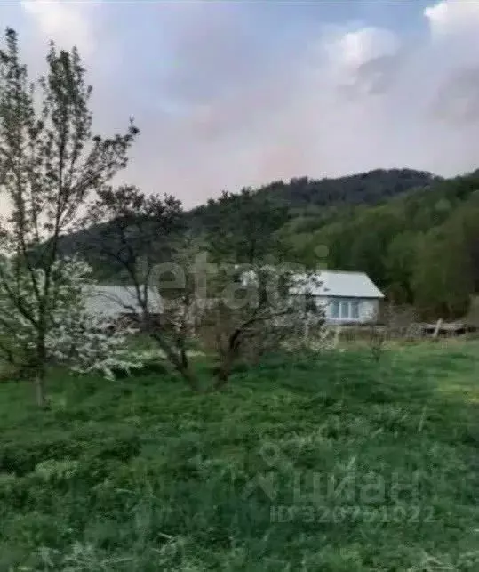 Дом в Алтай, Усть-Коксинский район, с. Кастахта Заречная ул., 10 (30 ... - Фото 1