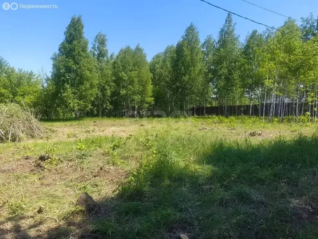 Участок в Искитимский район, Мичуринский сельсовет, СНТ Исток (12 м) - Фото 0