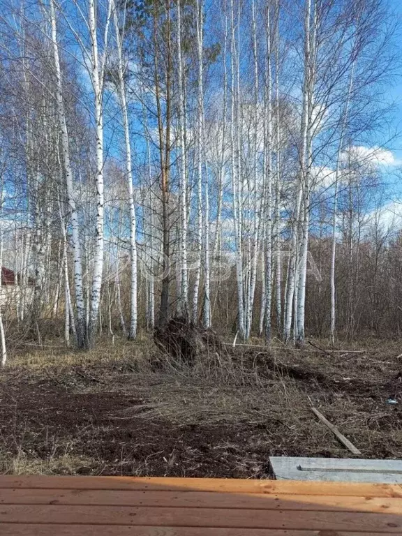 Участок в Тюменская область, Тюмень Родные Просторы кп, ул. Родные ... - Фото 1