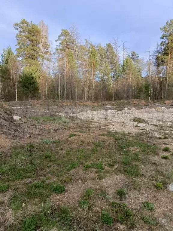 Участок в Свердловская область, Ревда городской округ, с. Кунгурка ул. ... - Фото 1