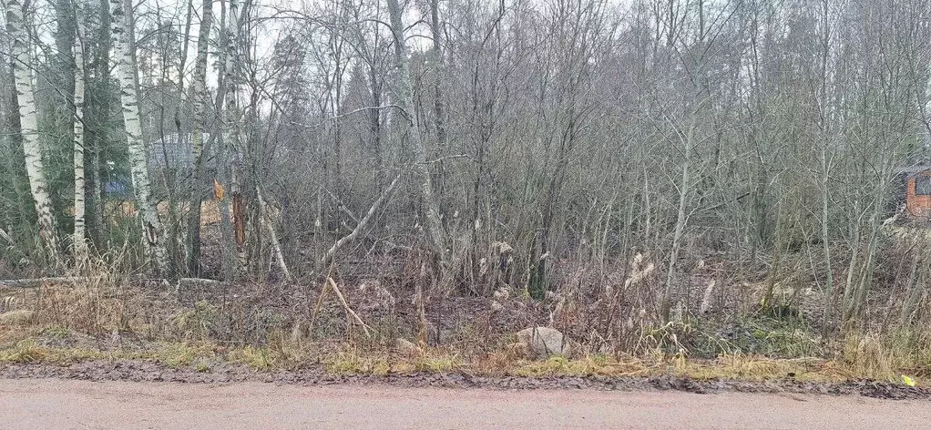 Участок в Ленинградская область, Выборгский район, Приморское ... - Фото 2