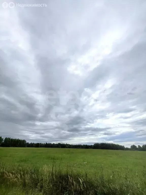 Участок в Костромской район, Кузьмищенское сельское поселение, деревня ... - Фото 0