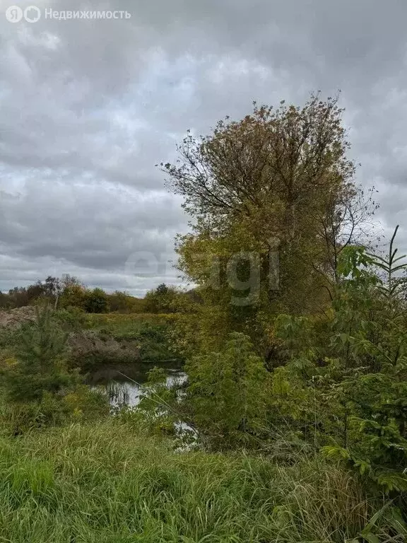 Участок в Тула, Пролетарский территориальный округ (15 м) - Фото 2