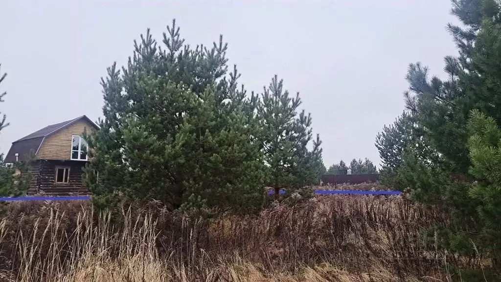 Участок в Тульская область, Заокский район, Малаховское с/пос, Садовые ... - Фото 1