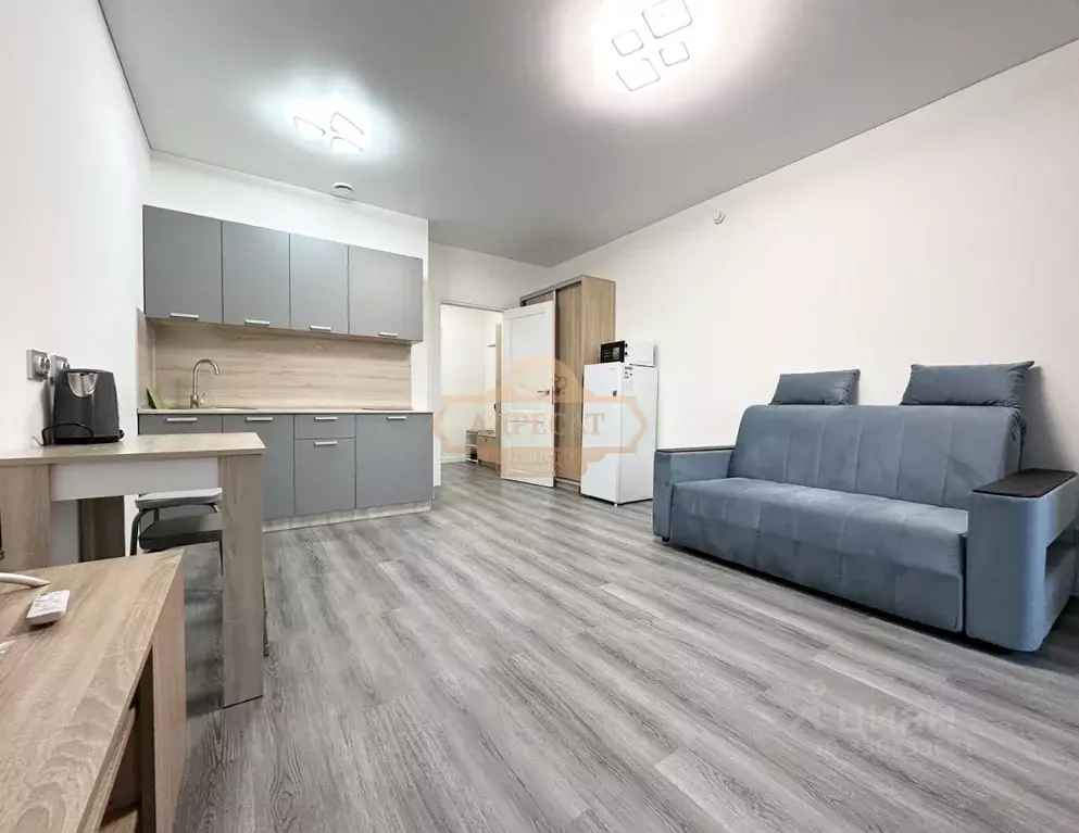 Студия Санкт-Петербург Парашютная ул., 77к1 (25.2 м) - Фото 2